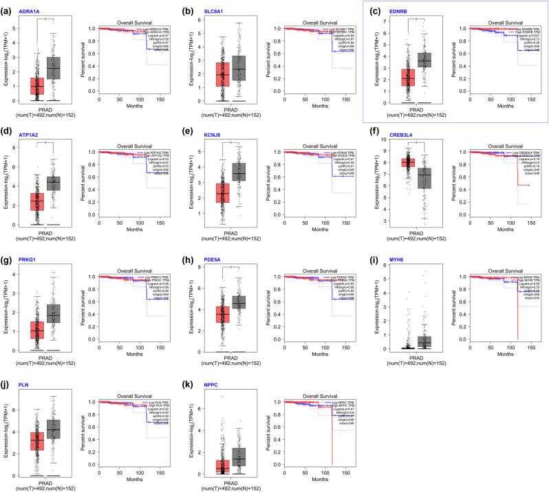https://cdn.ncbi.nlm.nih.gov/pmc/blobs/5126/10775416/a0fac618eb0b/j_med-2023-0875-fig003.jpg