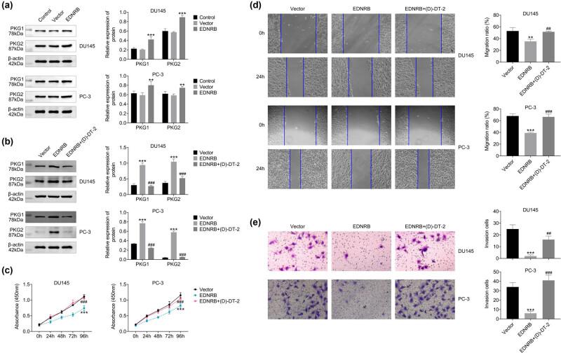 https://cdn.ncbi.nlm.nih.gov/pmc/blobs/5126/10775416/b30c40df7e5c/j_med-2023-0875-fig007.jpg