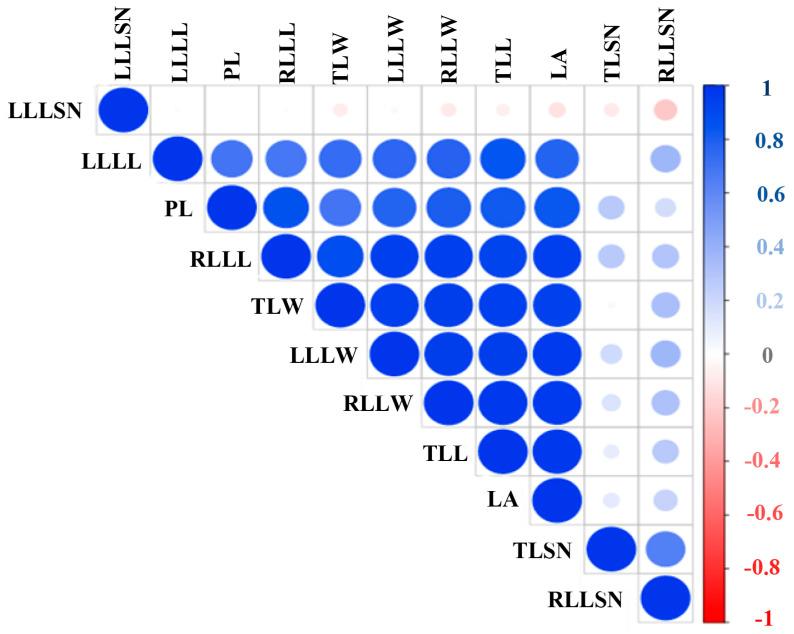 https://cdn.ncbi.nlm.nih.gov/pmc/blobs/5127/11855134/268b43ffe23c/ijms-26-01746-g004.jpg