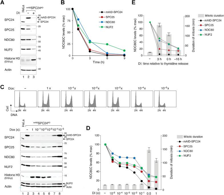 https://cdn.ncbi.nlm.nih.gov/pmc/blobs/5129/11063766/d195b148ef0a/423fig4.jpg