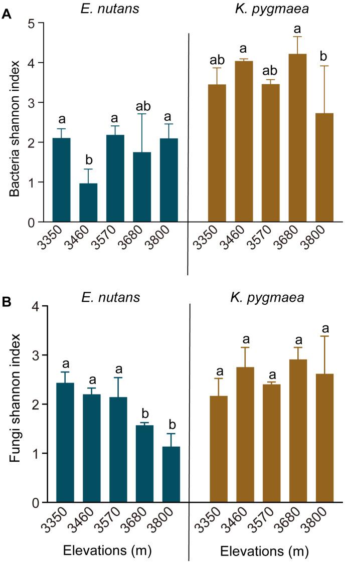 https://cdn.ncbi.nlm.nih.gov/pmc/blobs/512a/8164412/d7f59aa347b8/peerj-09-11340-g001.jpg