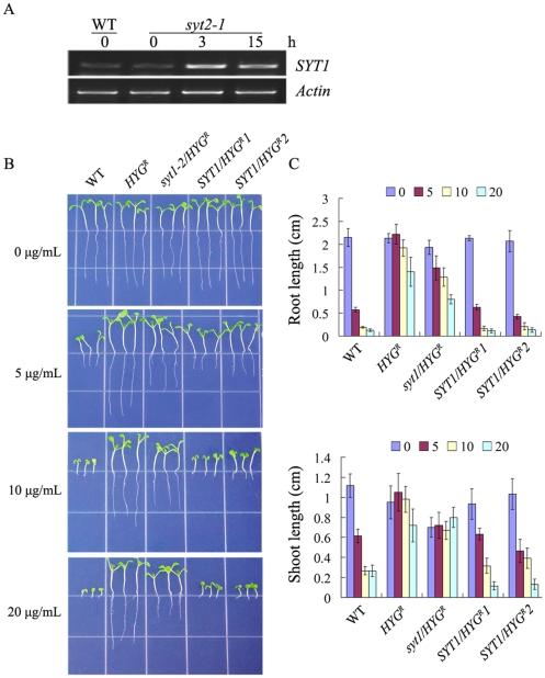 https://cdn.ncbi.nlm.nih.gov/pmc/blobs/512e/3225361/51e4953d258c/pone.0026477.g008.jpg