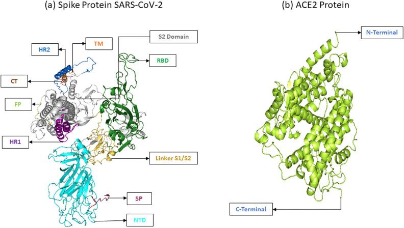 https://cdn.ncbi.nlm.nih.gov/pmc/blobs/512e/8282961/1527ee432454/gr4_lrg.jpg