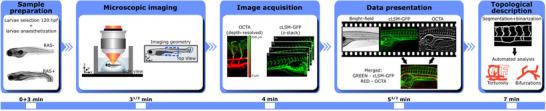 https://cdn.ncbi.nlm.nih.gov/pmc/blobs/512f/12412526/e5b7e0524df0/ADVS-12-e15176-g006.jpg