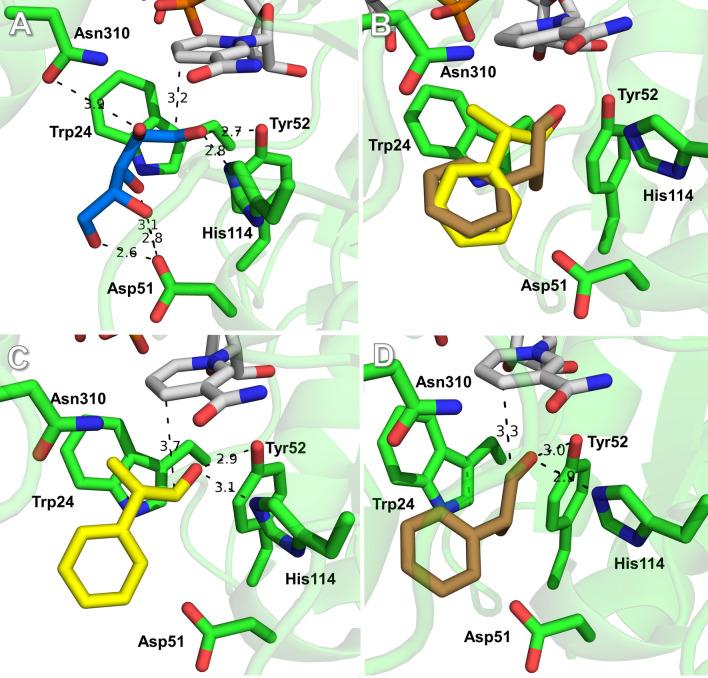 https://cdn.ncbi.nlm.nih.gov/pmc/blobs/5130/8507385/231331003191/12896_2021_715_Fig3_HTML.jpg