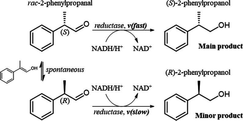 https://cdn.ncbi.nlm.nih.gov/pmc/blobs/5130/8507385/af7ce7912f07/12896_2021_715_Fig1_HTML.jpg