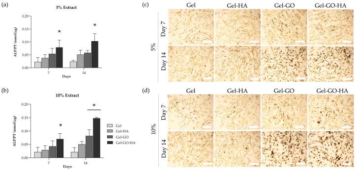 https://cdn.ncbi.nlm.nih.gov/pmc/blobs/5131/12385206/fc5a932a155c/gels-11-00650-g007.jpg