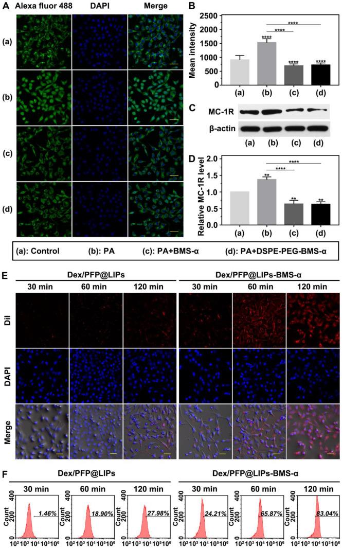 https://cdn.ncbi.nlm.nih.gov/pmc/blobs/5131/7806481/1a1613d5690d/thnov11p2670g005.jpg
