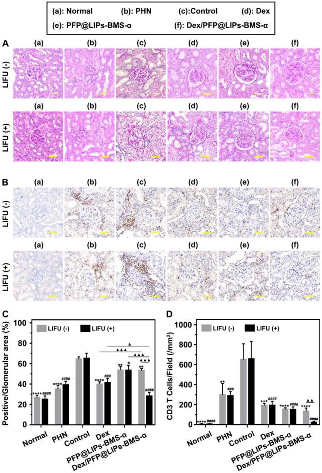 https://cdn.ncbi.nlm.nih.gov/pmc/blobs/5131/7806481/235b7598a970/thnov11p2670g009.jpg
