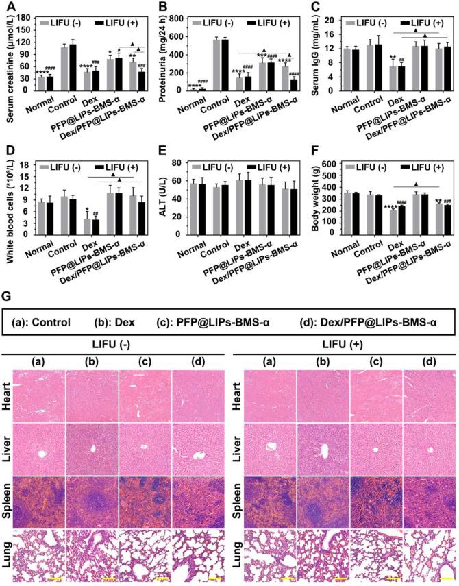 https://cdn.ncbi.nlm.nih.gov/pmc/blobs/5131/7806481/4d44b2045406/thnov11p2670g010.jpg