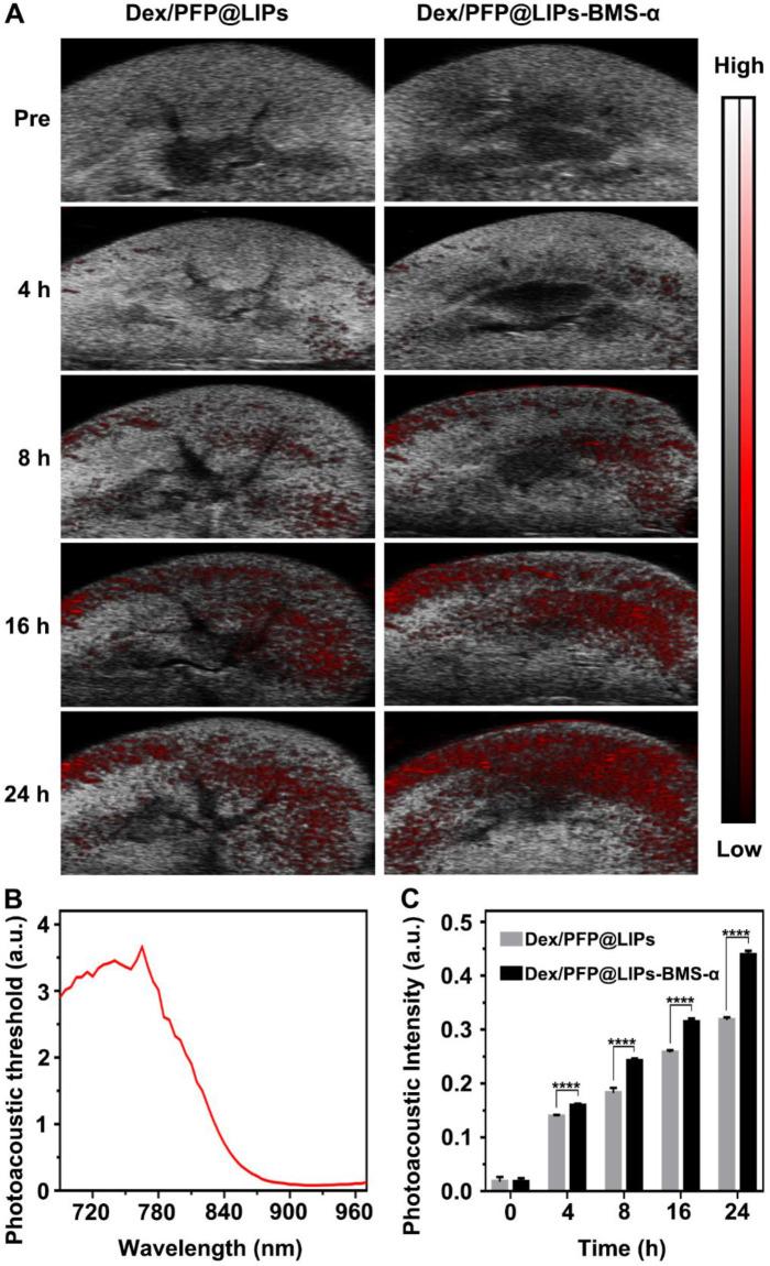https://cdn.ncbi.nlm.nih.gov/pmc/blobs/5131/7806481/757b2fcac03e/thnov11p2670g006.jpg