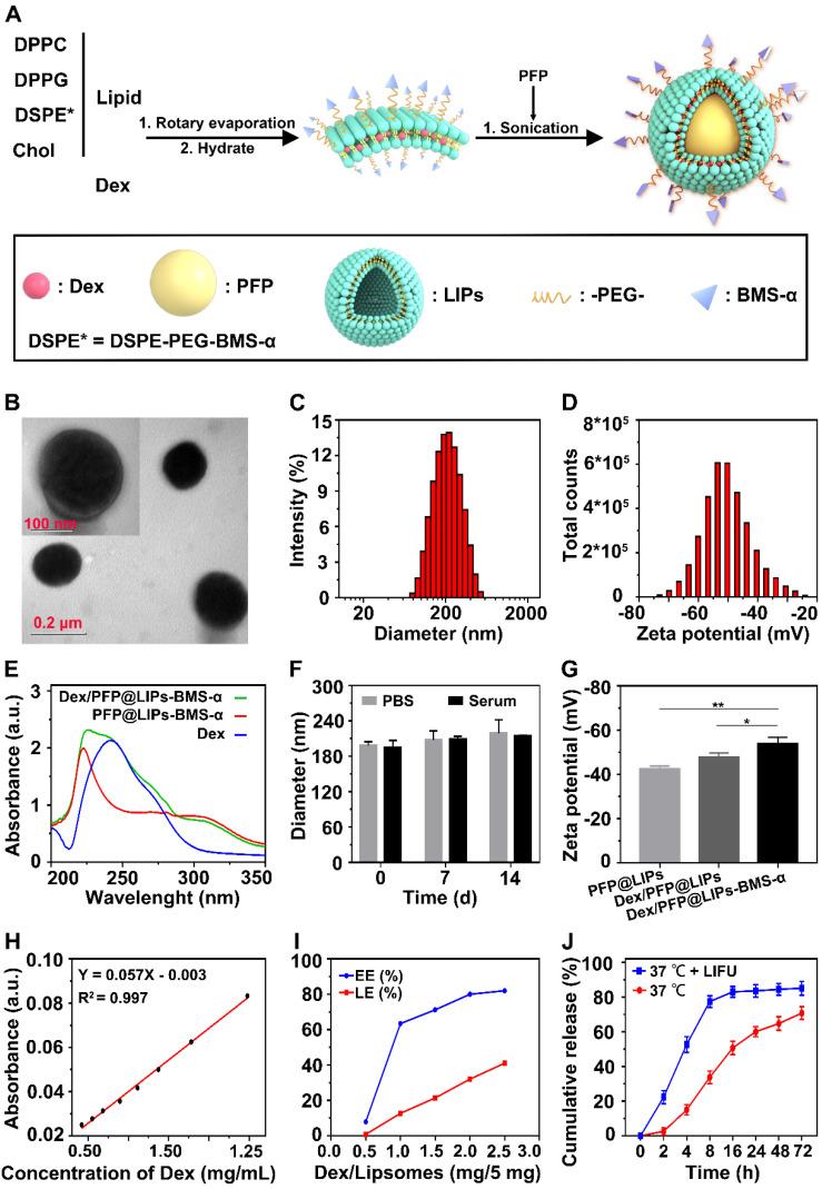 https://cdn.ncbi.nlm.nih.gov/pmc/blobs/5131/7806481/bd08c4876e4e/thnov11p2670g002.jpg