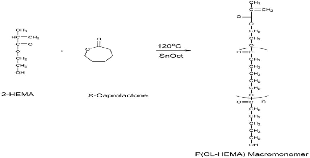 https://cdn.ncbi.nlm.nih.gov/pmc/blobs/5132/11288079/532380d40b09/nihms-2002330-f0014.jpg