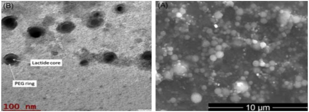 https://cdn.ncbi.nlm.nih.gov/pmc/blobs/5132/11288079/bd7655c37fdb/nihms-2002330-f0001.jpg