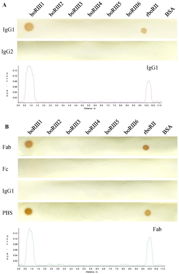 https://cdn.ncbi.nlm.nih.gov/pmc/blobs/5134/10818675/0162b36f0288/vetsci-11-00024-g002.jpg