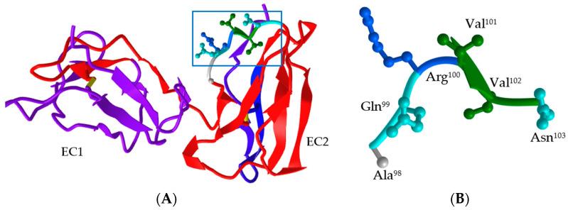 https://cdn.ncbi.nlm.nih.gov/pmc/blobs/5134/10818675/14c783abf8d6/vetsci-11-00024-g006.jpg