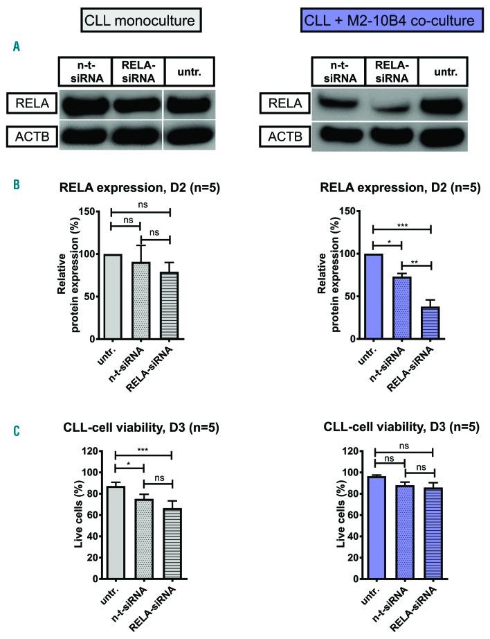 https://cdn.ncbi.nlm.nih.gov/pmc/blobs/5134/5777201/bc14fd62f88c/103136.fig4.jpg