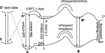 https://cdn.ncbi.nlm.nih.gov/pmc/blobs/5135/2729570/9e0bf8fb3547/jp-2008-06285s_0002.jpg