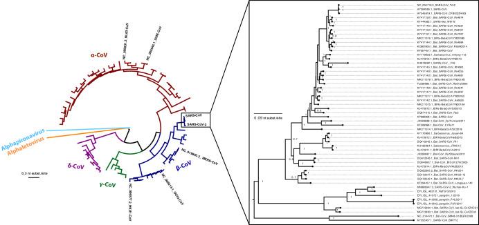 https://cdn.ncbi.nlm.nih.gov/pmc/blobs/5136/11721646/03af6668691f/44298_2024_43_Fig1_HTML.jpg