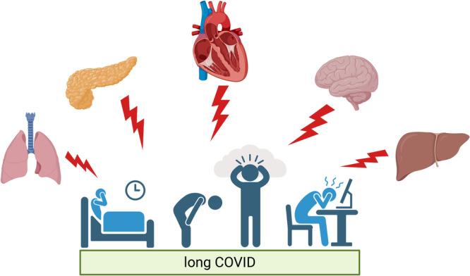 https://cdn.ncbi.nlm.nih.gov/pmc/blobs/5136/12345118/c91d1d2ed558/JEP-31-0-g001.jpg