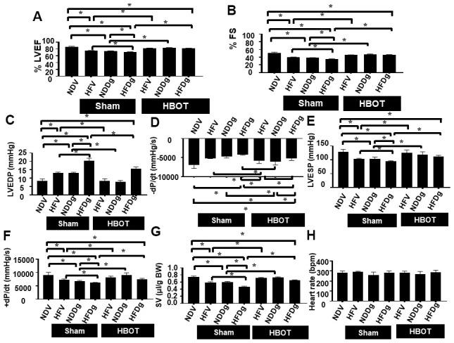 https://cdn.ncbi.nlm.nih.gov/pmc/blobs/5137/8109141/aeeed25e8eb2/aging-13-202970-g002.jpg