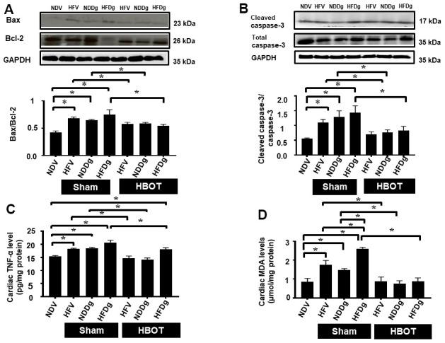 https://cdn.ncbi.nlm.nih.gov/pmc/blobs/5137/8109141/eecea2692303/aging-13-202970-g006.jpg