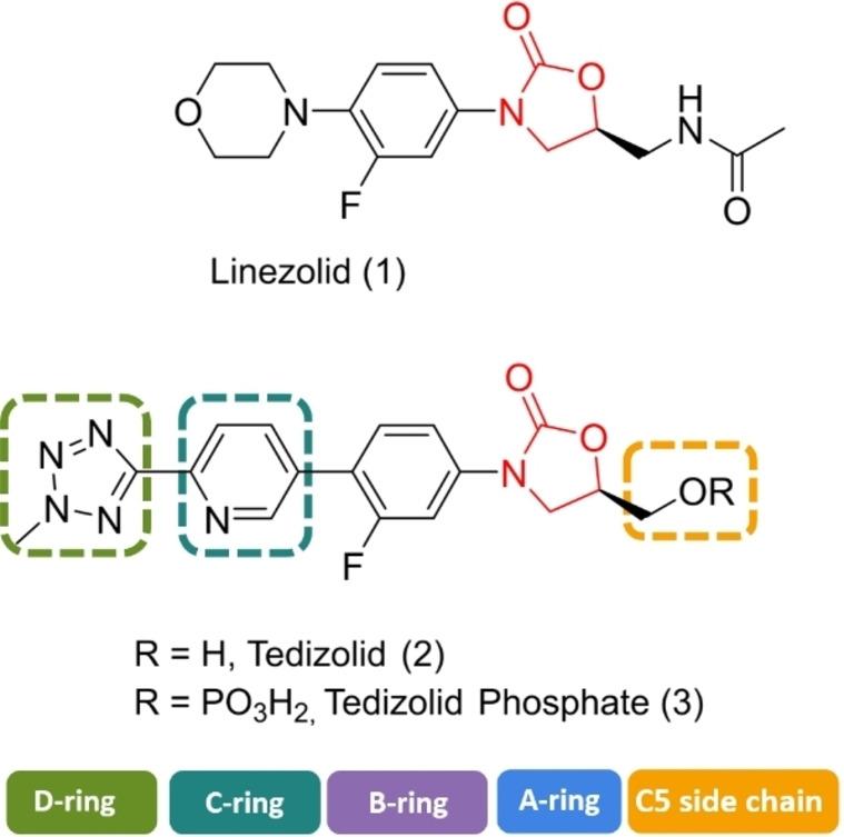 https://cdn.ncbi.nlm.nih.gov/pmc/blobs/5137/9321984/405558e9739d/ASIA-17-0-g013.jpg