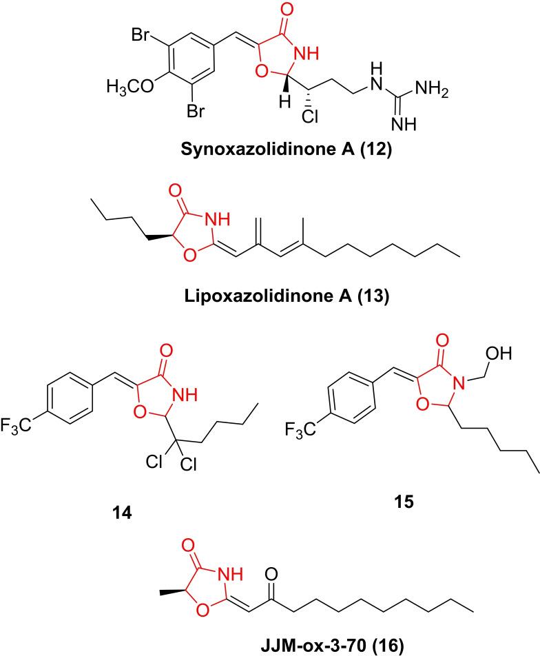 https://cdn.ncbi.nlm.nih.gov/pmc/blobs/5137/9321984/7c281f482877/ASIA-17-0-g021.jpg