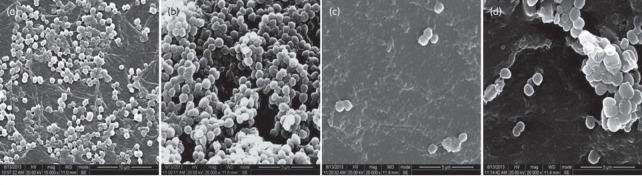 https://cdn.ncbi.nlm.nih.gov/pmc/blobs/5137/9321984/85ab405fadd3/ASIA-17-0-g008.jpg