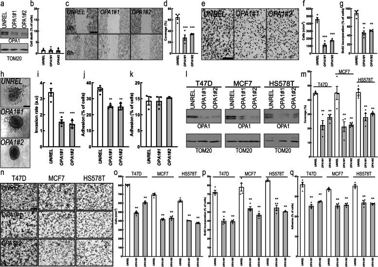https://cdn.ncbi.nlm.nih.gov/pmc/blobs/5138/8917763/2355183d4a0b/13046_2022_2304_Fig2_HTML.jpg