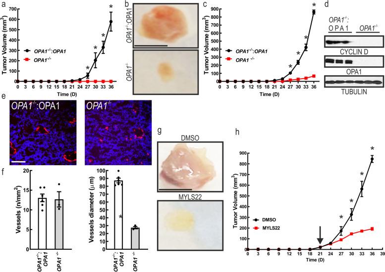 https://cdn.ncbi.nlm.nih.gov/pmc/blobs/5138/8917763/333c47fd7fc7/13046_2022_2304_Fig4_HTML.jpg