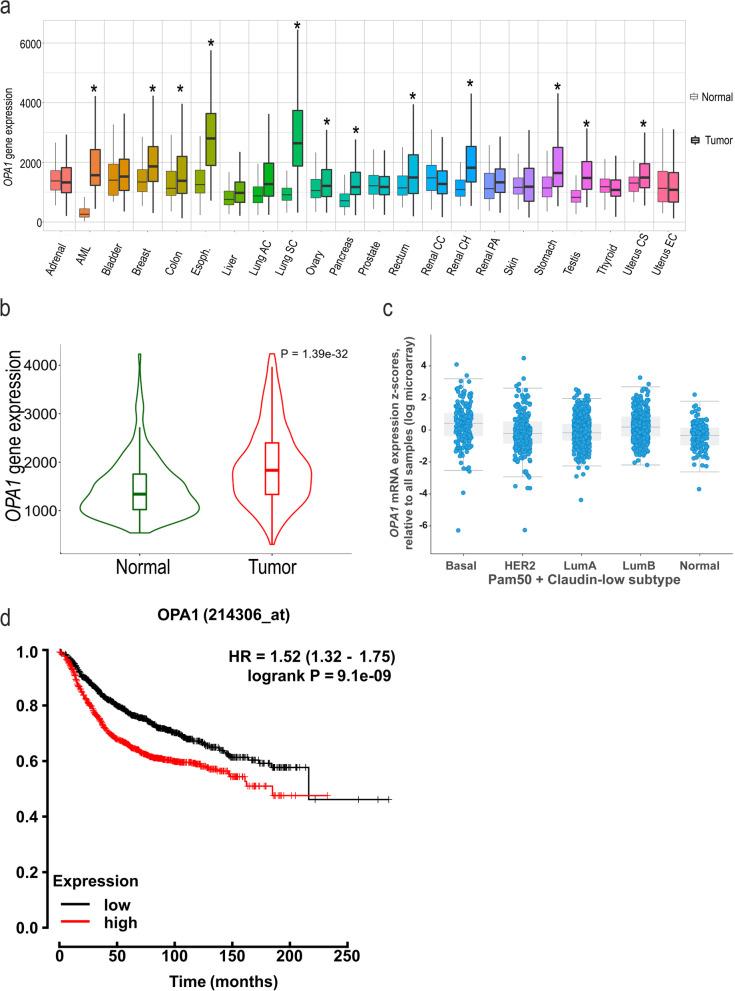 https://cdn.ncbi.nlm.nih.gov/pmc/blobs/5138/8917763/50c1affb7034/13046_2022_2304_Fig1_HTML.jpg