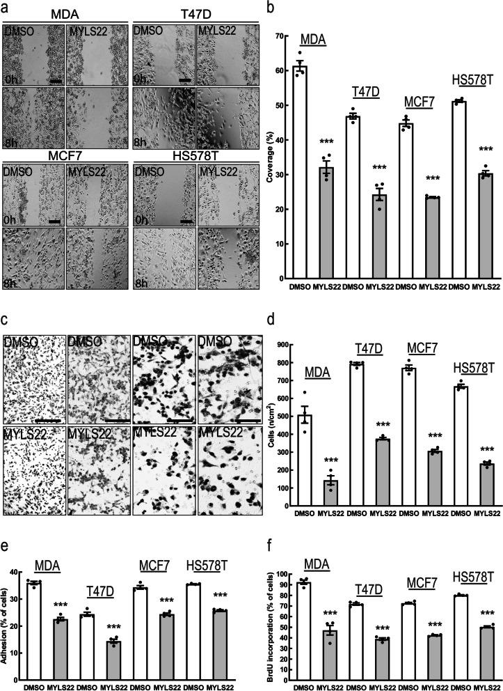 https://cdn.ncbi.nlm.nih.gov/pmc/blobs/5138/8917763/b770e7178538/13046_2022_2304_Fig3_HTML.jpg