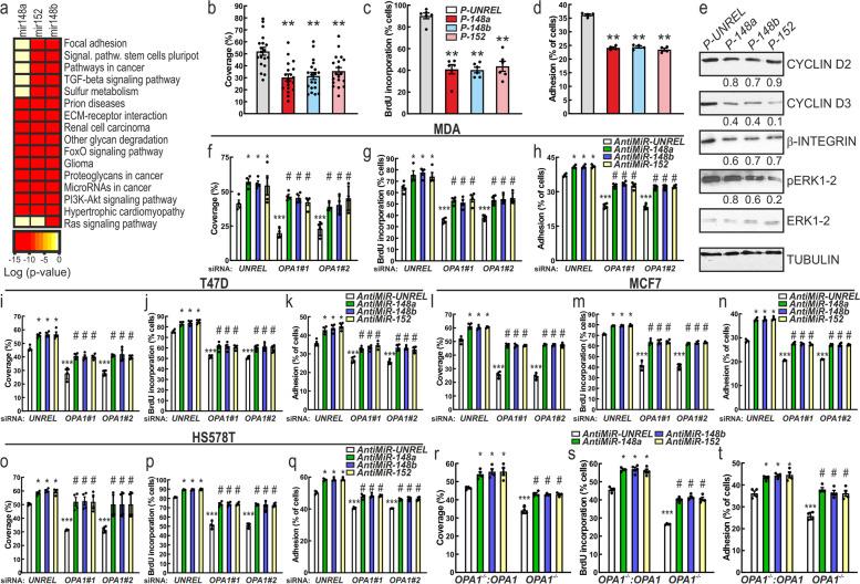 https://cdn.ncbi.nlm.nih.gov/pmc/blobs/5138/8917763/d4dbe06d5803/13046_2022_2304_Fig7_HTML.jpg