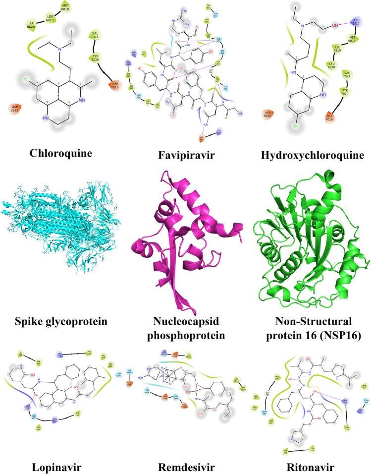https://cdn.ncbi.nlm.nih.gov/pmc/blobs/5138/9346052/198e937e94a7/11224_2022_2020_Fig5_HTML.jpg