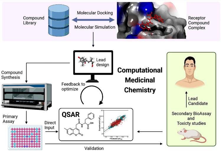 https://cdn.ncbi.nlm.nih.gov/pmc/blobs/5138/9346052/61bc4adc65f2/11224_2022_2020_Fig3_HTML.jpg