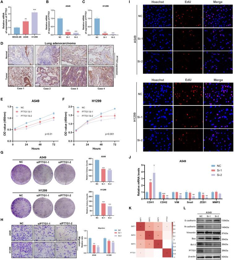 https://cdn.ncbi.nlm.nih.gov/pmc/blobs/5139/11321965/24d5660056b4/fimmu-15-1386427-g013.jpg