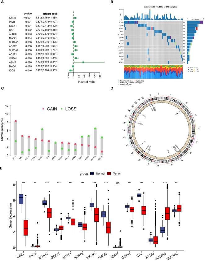 https://cdn.ncbi.nlm.nih.gov/pmc/blobs/5139/11321965/d33eba388aea/fimmu-15-1386427-g002.jpg