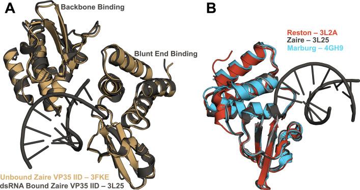 https://cdn.ncbi.nlm.nih.gov/pmc/blobs/5139/12404614/2b2e89dd5813/elife-104514-fig1.jpg