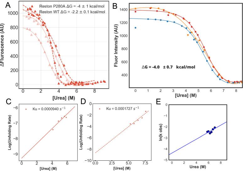 https://cdn.ncbi.nlm.nih.gov/pmc/blobs/5139/12404614/ed68662e6e7d/elife-104514-fig3-figsupp4.jpg