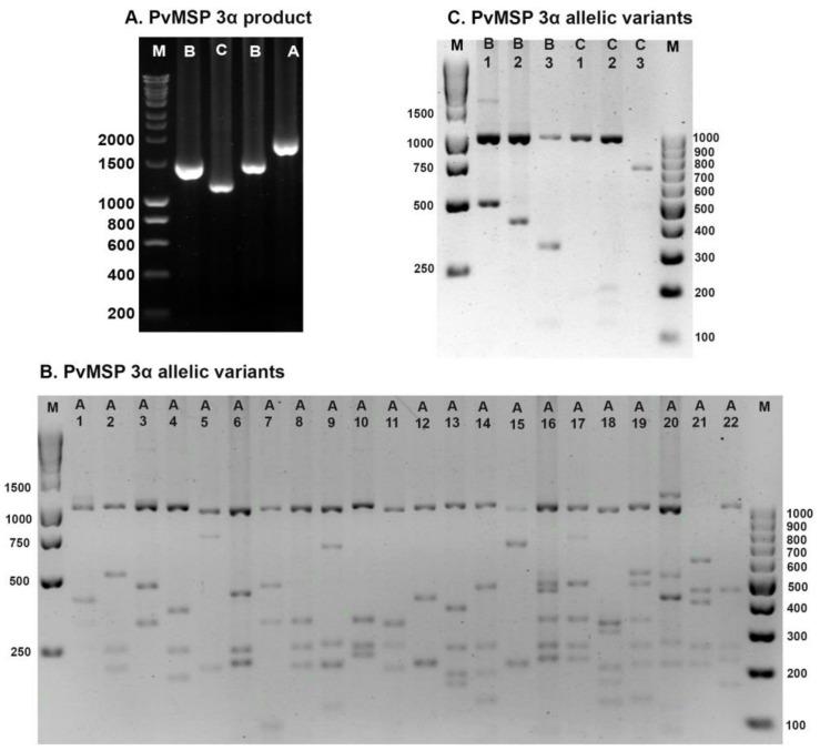 https://cdn.ncbi.nlm.nih.gov/pmc/blobs/513a/10143293/6c36d0ff55e2/tropicalmed-08-00210-g002.jpg