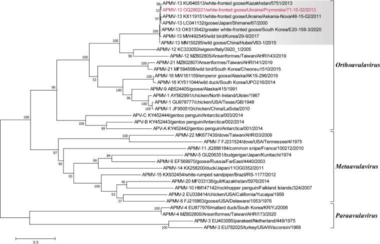 https://cdn.ncbi.nlm.nih.gov/pmc/blobs/513a/10281178/2c3b1156d633/mra.00197-23-f001.jpg