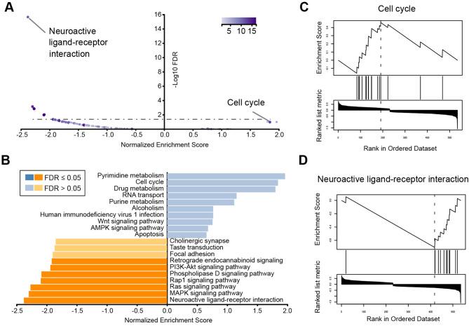 https://cdn.ncbi.nlm.nih.gov/pmc/blobs/513b/9951484/395c042d8deb/12864_2023_9186_Fig2_HTML.jpg