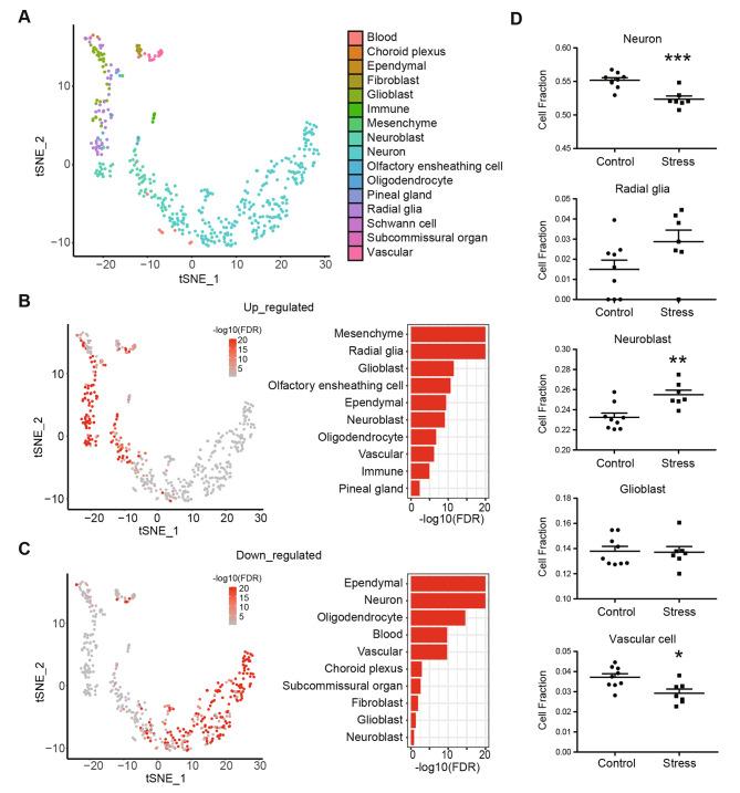 https://cdn.ncbi.nlm.nih.gov/pmc/blobs/513b/9951484/ea6a06ad8640/12864_2023_9186_Fig3_HTML.jpg