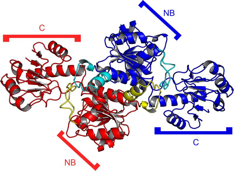 https://cdn.ncbi.nlm.nih.gov/pmc/blobs/513c/7512555/50b68b7c4631/mBio.02249-20-f0003.jpg