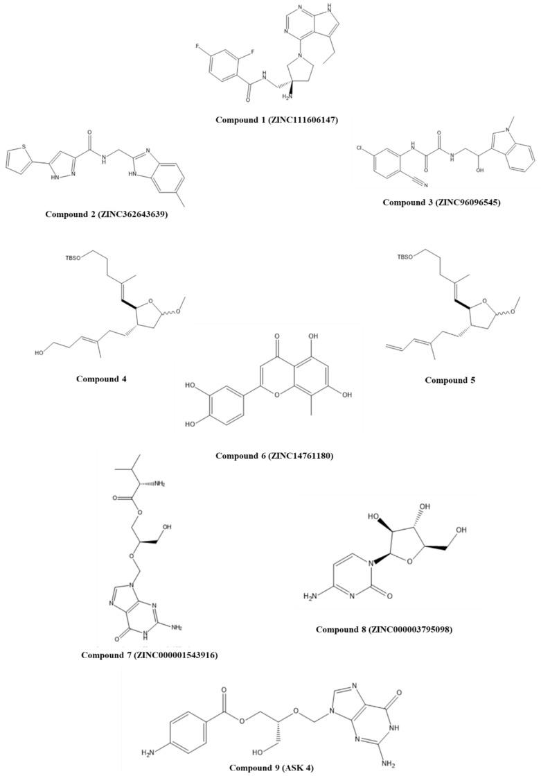 https://cdn.ncbi.nlm.nih.gov/pmc/blobs/5142/8400112/435fa61e0889/pharmaceuticals-14-00741-g002.jpg