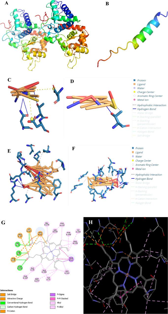 https://cdn.ncbi.nlm.nih.gov/pmc/blobs/5143/12395770/086cffe0928a/12870_2025_6938_Fig2_HTML.jpg