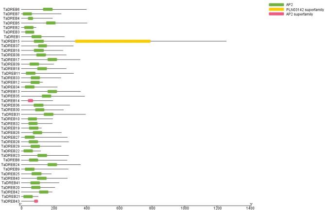 https://cdn.ncbi.nlm.nih.gov/pmc/blobs/5143/12395770/7ab9b98dd734/12870_2025_6938_Fig5_HTML.jpg