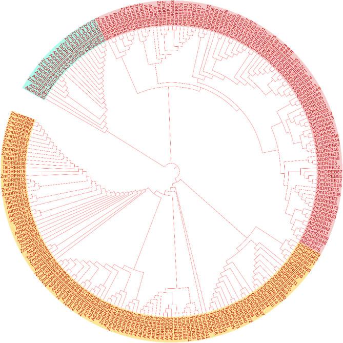 https://cdn.ncbi.nlm.nih.gov/pmc/blobs/5143/12395770/b35c165cab78/12870_2025_6938_Fig4_HTML.jpg