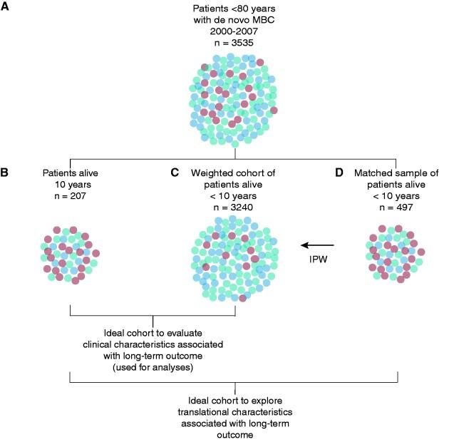 https://cdn.ncbi.nlm.nih.gov/pmc/blobs/5143/8099998/3f87f99dff83/pkab010f1.jpg